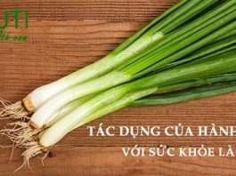 Tác dụng của hành lá