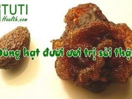 Vì sao dùng hạt đười ươi trị sỏi thận