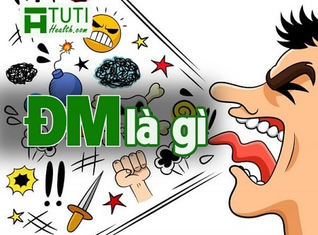 DMM là gì dmm nghĩa là gì và vai trò của nó trong sản xuất