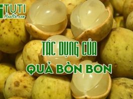 Tác dụng của quả bòn bon với sức khỏe