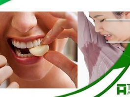 Ăn tỏi bị hôi nách có đúng không ?