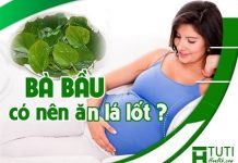 Bà bầu có nên ăn lá lốt không ?