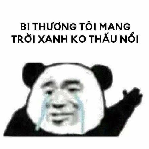 Bi thương tôi mang trời xanh không thấu nổi