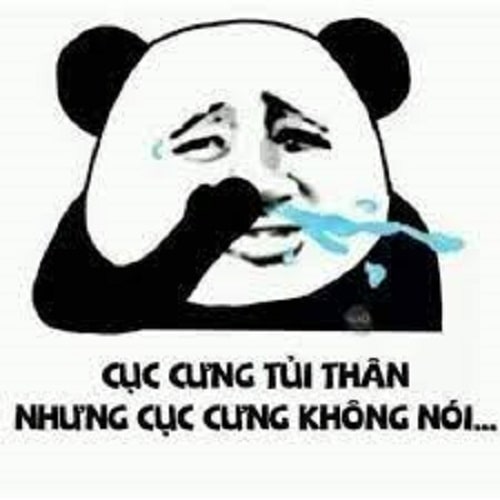 Meme gấu trúc Weibo: Cục cưng tủi thân nhưng cục cưng không nói