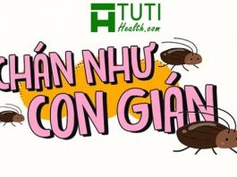 Hình ảnh chán như con gián chế hài hước