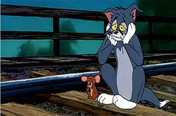 Tom và Jerry từng cùng nhau rời bỏ cuộc sống vì "thất tình"