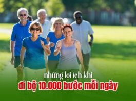 Đi bộ 10.000 bước mỗi ngày có lợi ích gì?