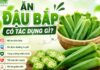 Ăn đậu bắp có tác dụng gì? 10 lợi ích tuyệt vời của đậu bắp đối với sức khỏe Ăn đậu bắp có tác dụng gì?