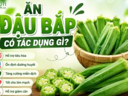 Ăn đậu bắp có tác dụng gì?