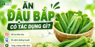 Ăn đậu bắp có tác dụng gì? 10 lợi ích tuyệt vời của đậu bắp đối với sức khỏe Ăn đậu bắp có tác dụng gì?