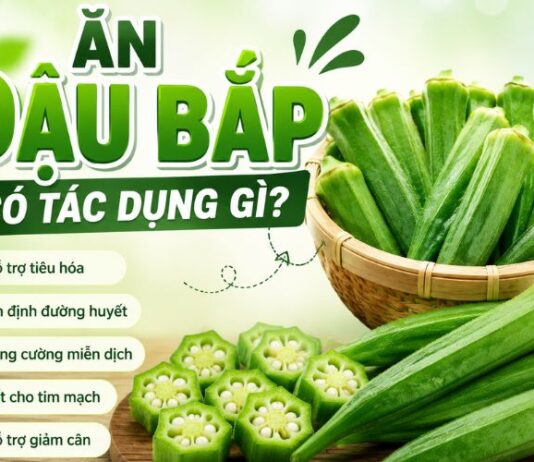 Ăn đậu bắp có tác dụng gì? 10 lợi ích tuyệt vời của đậu bắp đối với sức khỏe Ăn đậu bắp có tác dụng gì?